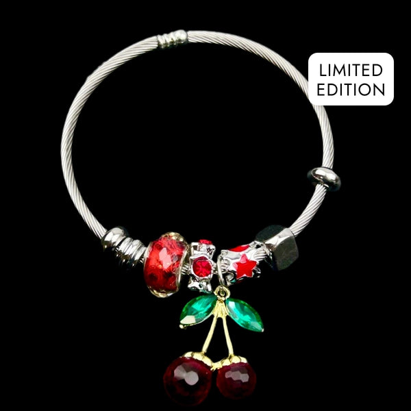 RICH GIFTS FOR HER CHARM BRACELET NO.1