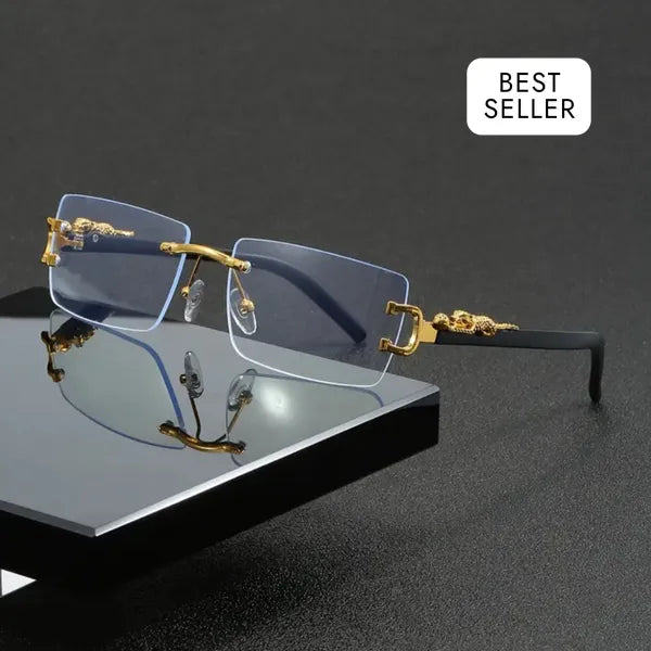 RICH TIGER EYEWEAR No.2