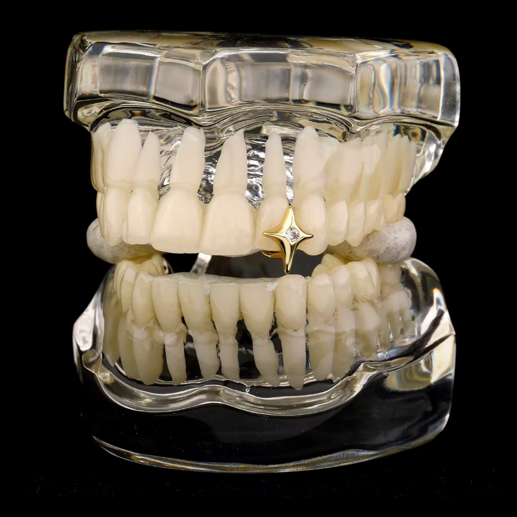 RICH ONE AND ONLY GRILLZ NO.5